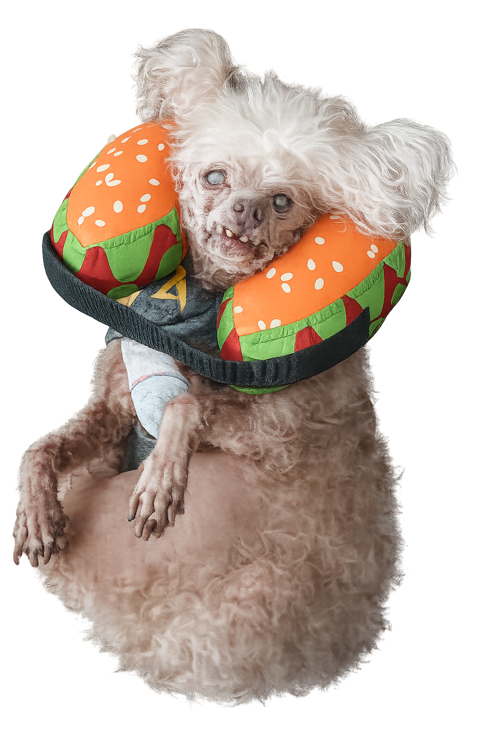 Lida Bida Boda Butt wearing a hamburger neck pillow